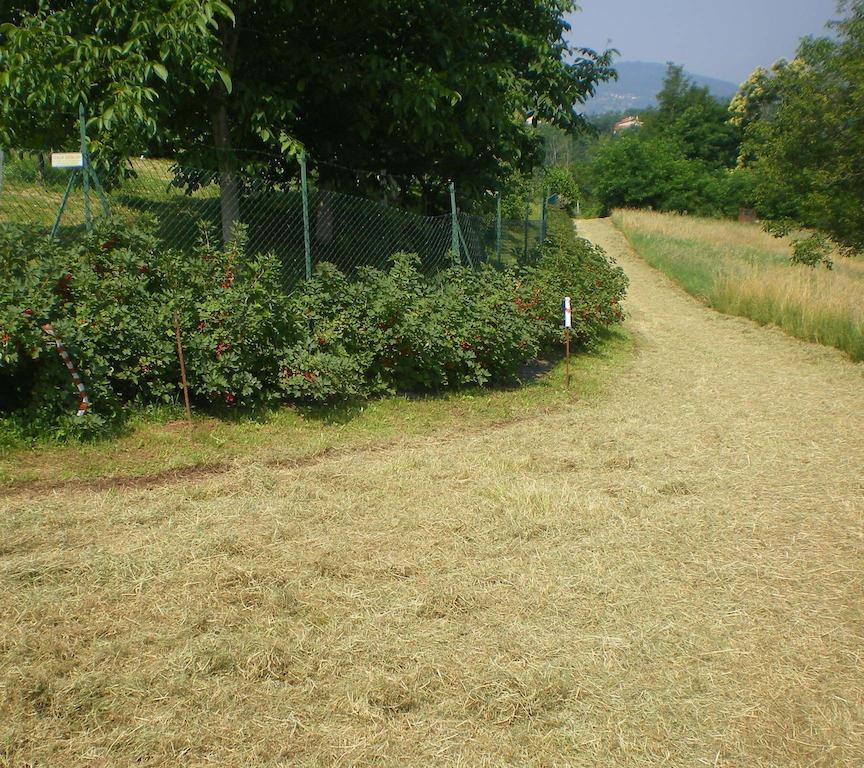 Tenuta Fortelongo Fara Vicentino Kültér fotó