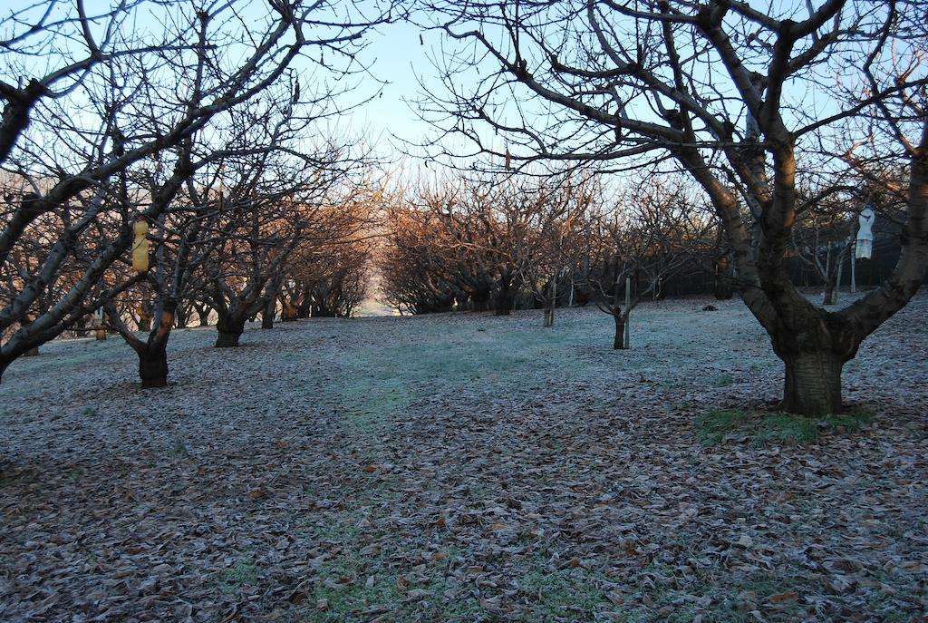 Tenuta Fortelongo Fara Vicentino Kültér fotó